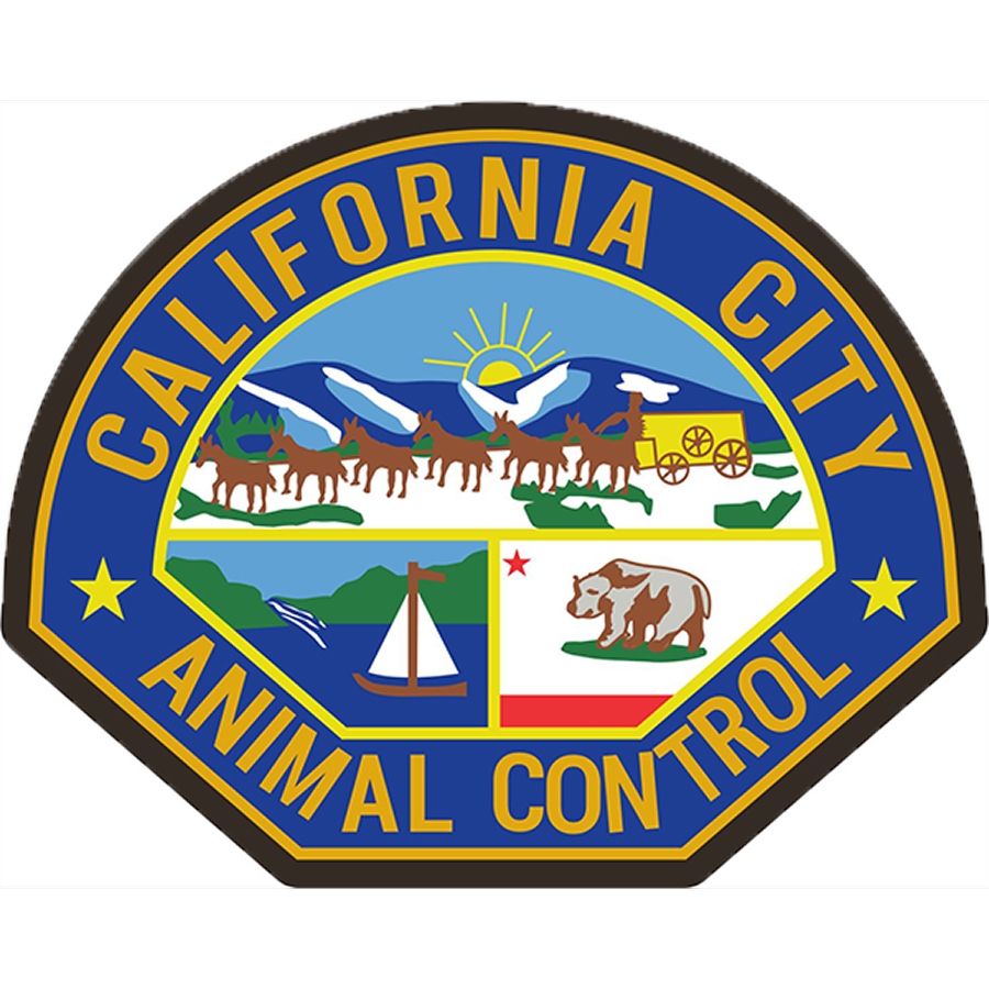 California City